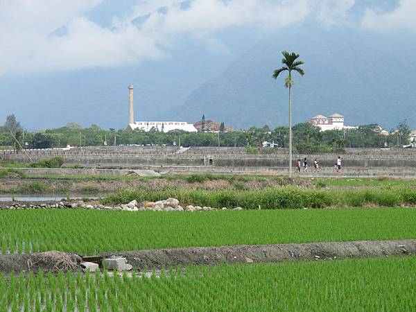 IMG_6874.JPG IMG_6874.JPG