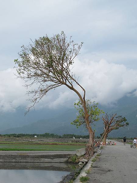 IMG_6879.JPG IMG_6879.JPG