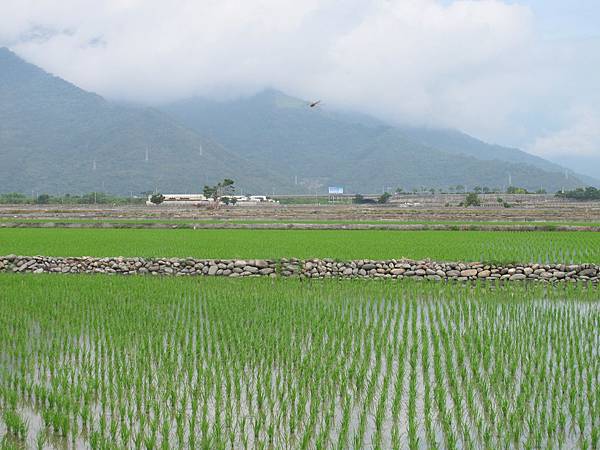 IMG_6886.JPG IMG_6886.JPG