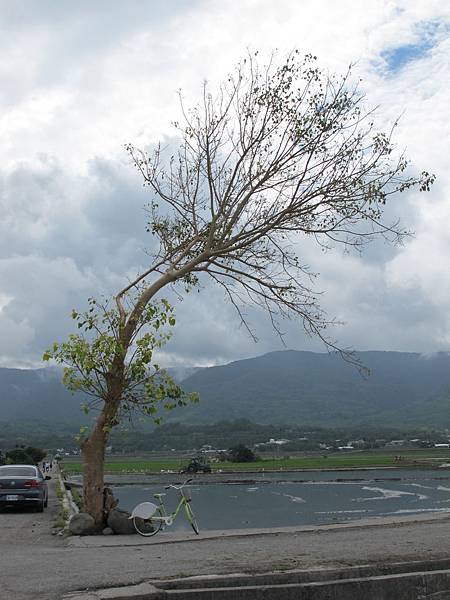 IMG_6893.JPG IMG_6893.JPG