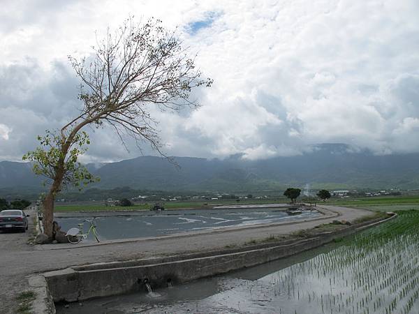 IMG_6896.JPG IMG_6896.JPG