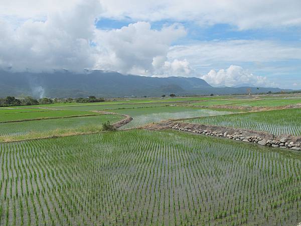 IMG_6911.JPG IMG_6911.JPG