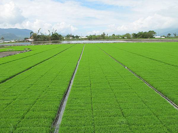 IMG_6942.JPG IMG_6942.JPG