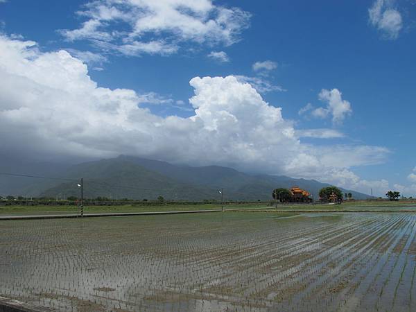 IMG_6982.JPG IMG_6982.JPG