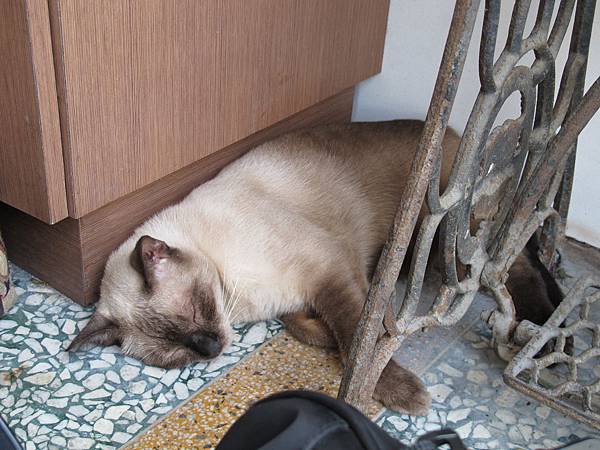 IMG_6999.JPG IMG_6999.JPG