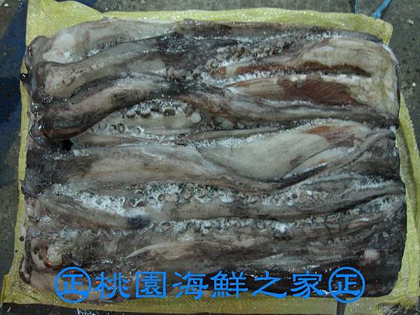 桃園海鮮之家【大章魚腳】