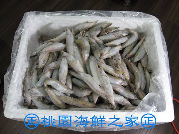 桃園海鮮之家【柳葉魚 囍相逢 蛋蛋魚】