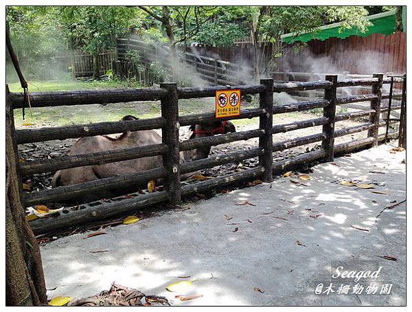 木柵動物園