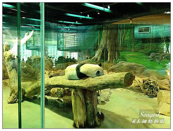 木柵動物園 木柵動物園