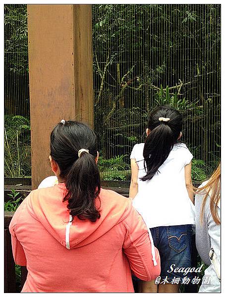 木柵動物園 木柵動物園