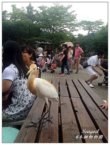 木柵動物園 木柵動物園