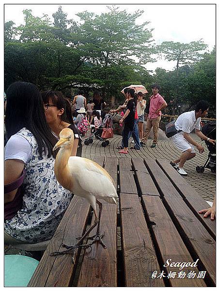 木柵動物園