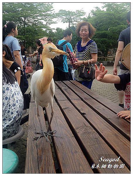 木柵動物園 木柵動物園