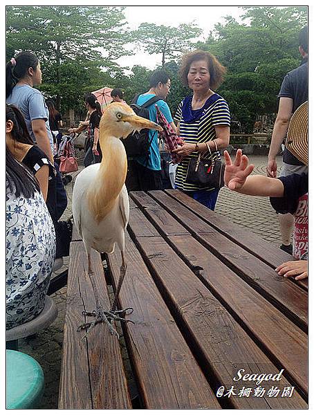 木柵動物園