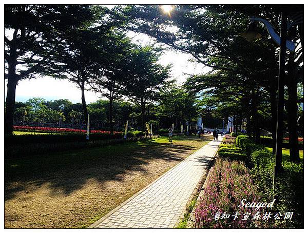 知卡宣森林公園