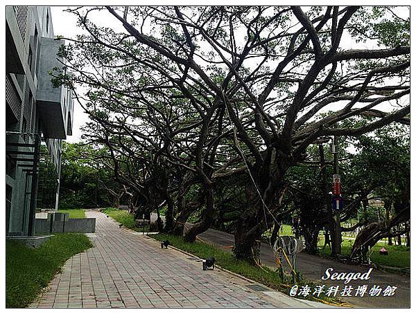 海洋科技博物館 海洋科技博物館