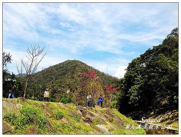 大溝溪親水公園 大溝溪親水公園
