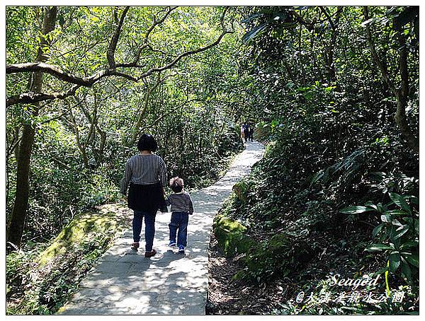 大溝溪親水公園 大溝溪親水公園
