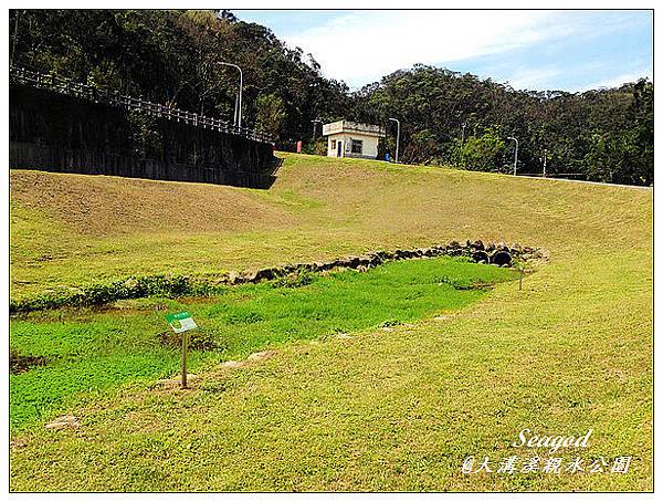 大溝溪親水公園