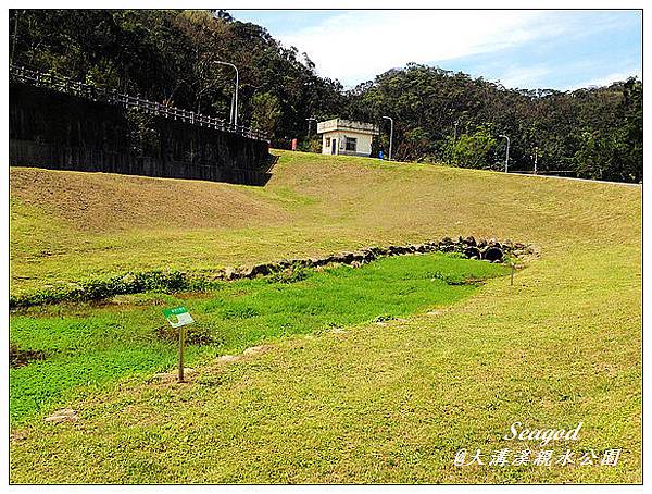 大溝溪親水公園 大溝溪親水公園