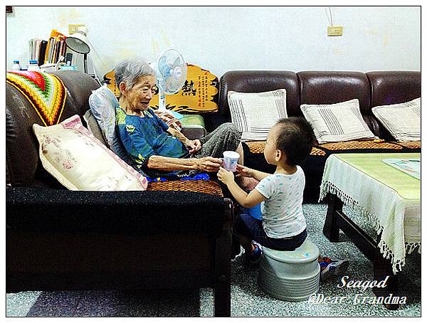 Dear Grandma Dear Grandma