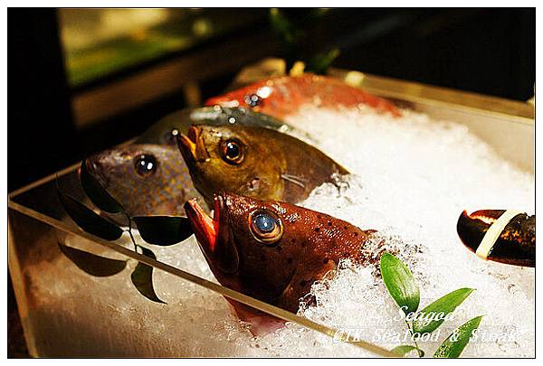 TK Seafood & Steak TK Seafood & Steak