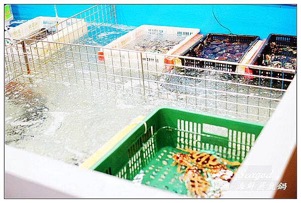 漉 海鮮蒸氣鍋 (松江店) 漉 海鮮蒸氣鍋 (松江店)