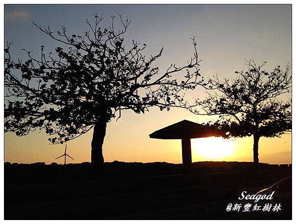 新豐紅樹林 新豐紅樹林