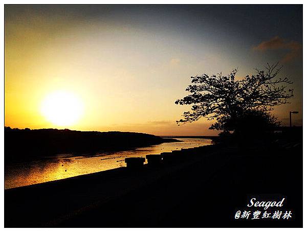 新豐紅樹林 新豐紅樹林