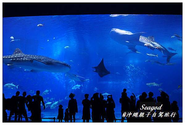 沖繩親子自駕行 沖繩親子自駕行