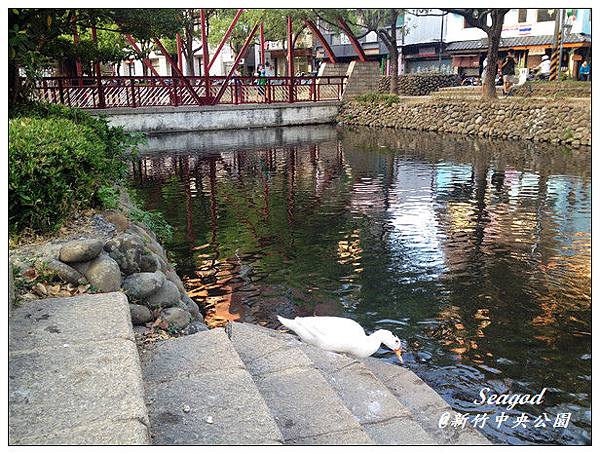 新竹中央公園