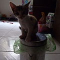 P1040188.JPG