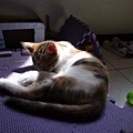 P1040289.JPG
