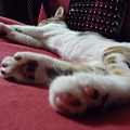 P1040370.JPG