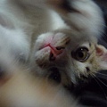 P1040400.JPG