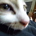 P1040435.JPG