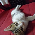 P1040476.JPG