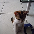 P1040526.JPG