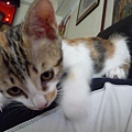 P1040549.JPG