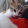P1040563.JPG