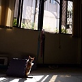P1040592.JPG