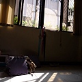 P1040605.JPG