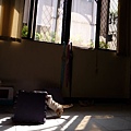 P1040607.JPG