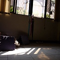 P1040620.JPG