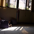 P1040623.JPG