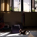 P1040630.JPG