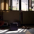 P1040631.JPG