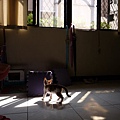 P1040635.JPG