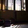 P1040643.JPG