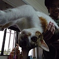 P1060027.JPG